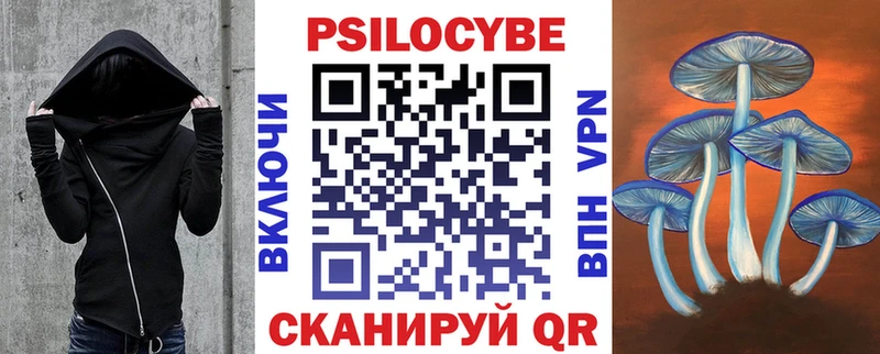 купить наркотик  Весьегонск  Галлюциногенные грибы мухоморы 
